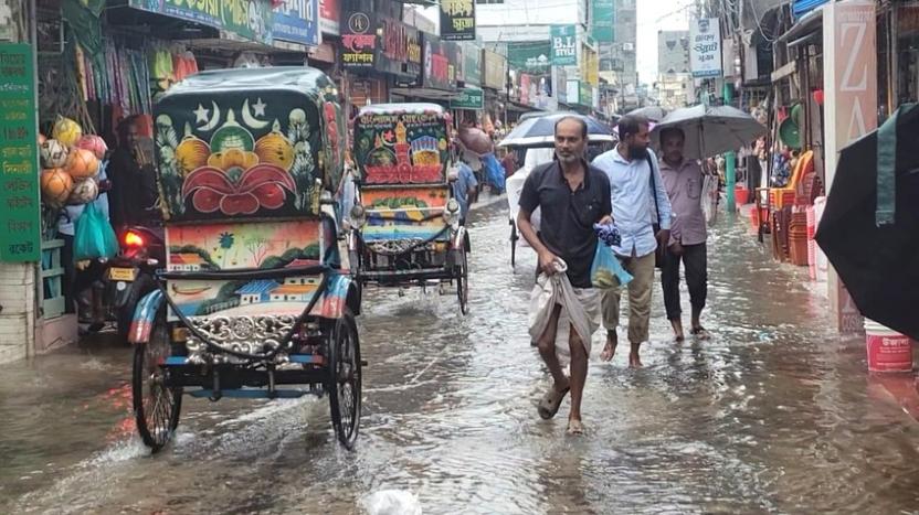 প্লাবিত নিম্নাঞ্চল; ক্ষতির মুখে আমনের বীজতলা