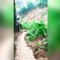 কয়েক দিনের ভারি বর্ষণে রাঙামাটি সহ বিভিন্ন উপজেলায় জণ জীবন বিপর্যস্থ