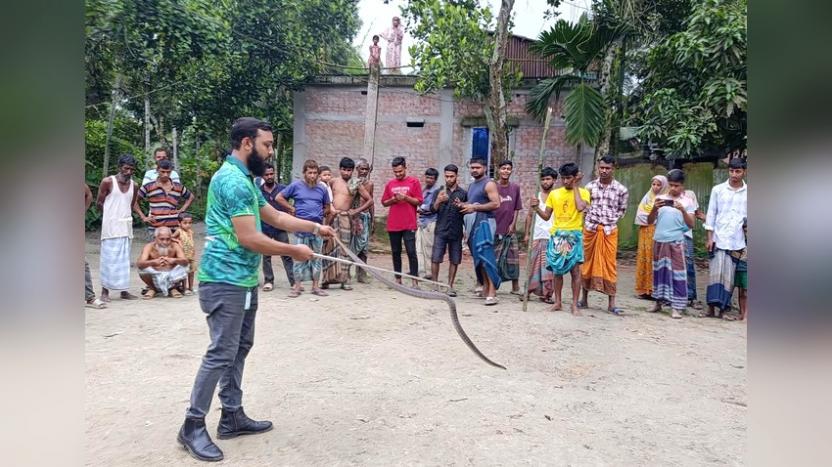 দাঁড়াশ ভেবে ধরা হয়েছিল দক্ষিণ এশিয়ার অন্যতম বিষধর সাপ