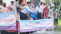 ঝালকাঠিতে নানা আয়োজনে জাতীয় মৎস্য পক্ষ উদযাপিত