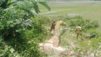 আত্রাইয়ে সরকারি গাছ কাটার অপরাধে  জরিমানা