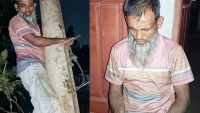 রাতের আঁধারে পল্লী বিদ্যুতের খুঁটি সরাতে গিয়ে সরঞ্জাম ফেলে পালালো