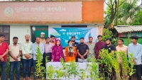 মিরসরাইয়ে গাছের চারা রোপণ ও বিতরণ