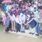 বিএনপির প্রতিষ্ঠাবার্ষিকী উপলক্ষে সুগন্ধা নদীতে ৫ মণ মাছের পোনা অবমুক্ত