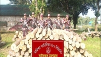 মারিশ্যাতে ২৭ বিজিবি টহলদল অবৈধভাবে পাচারকালে সেগুন কাঠ উদ্ধার