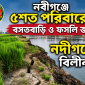 নবীগঞ্জে ৫শত পরিবারের বসতবাড়ি ও ফসলি জমি নদীগর্ভে বিলীন